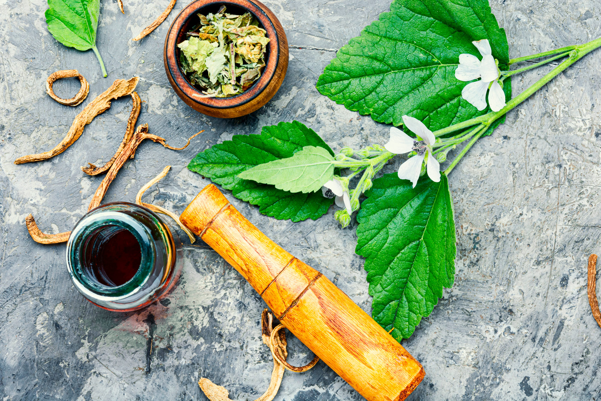 Altea: pianta tradizionale con numerose proprieta farmacologiche