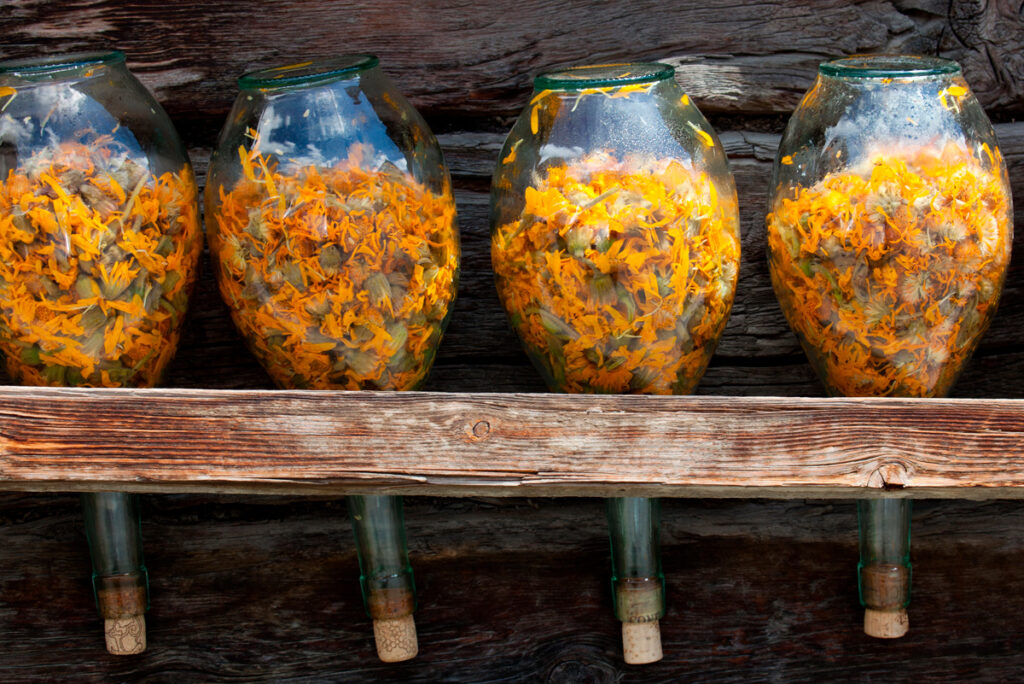 I benefici dell'arnica