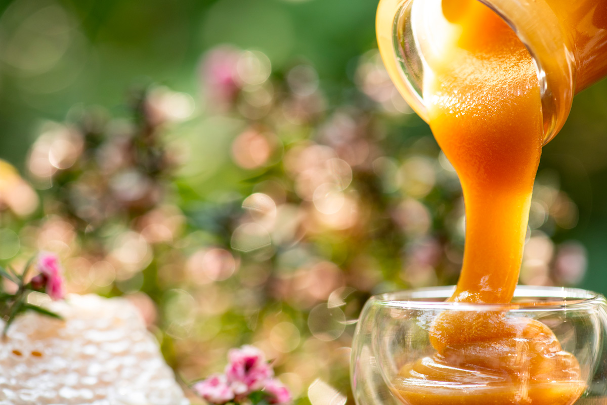 Le mille proprietà del miele di Manuka