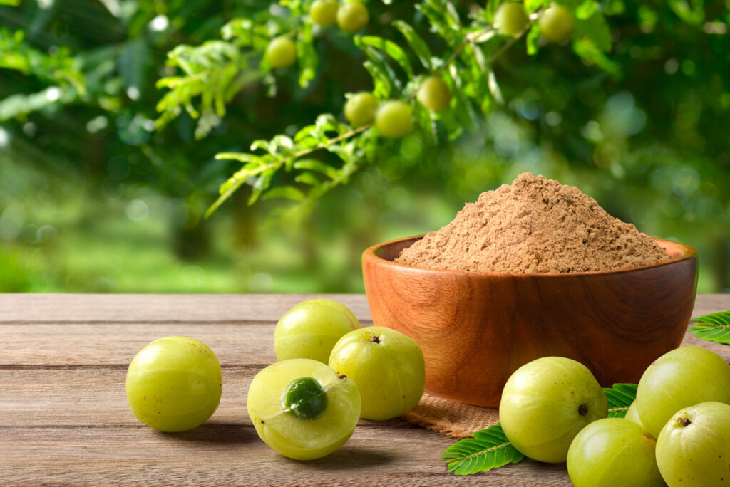 Estratto di Amla Estratto di Amla